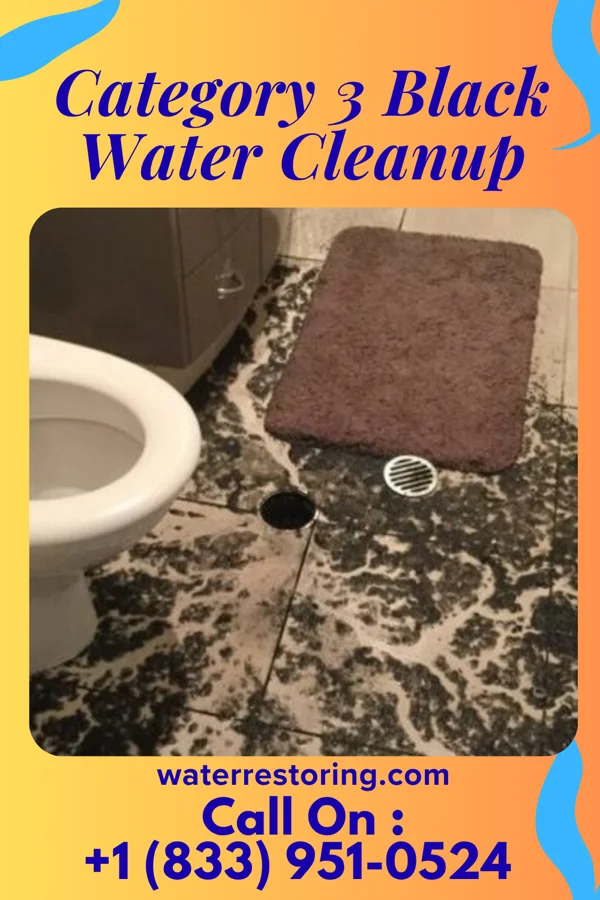 Category 3 Black Water Cleanup in Rosiclare, IL