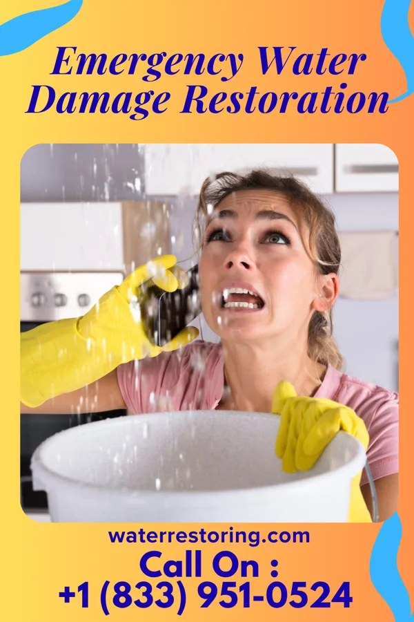 Emergency Water Damage Restoration in Rosiclare, IL
