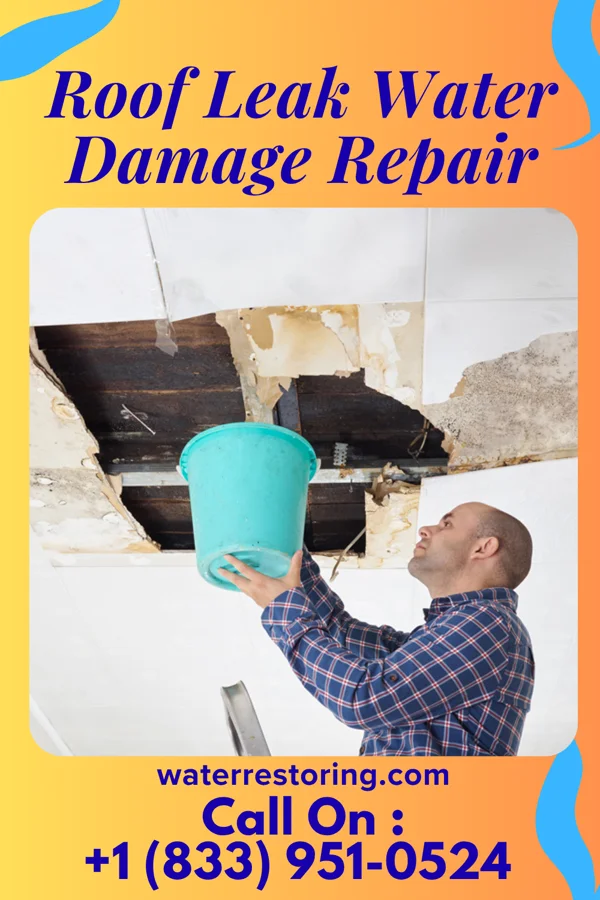 Roof Leak Water Damage Repair in Rosiclare, IL