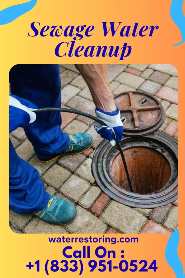 Sewage Water Cleanup in Rosiclare, IL